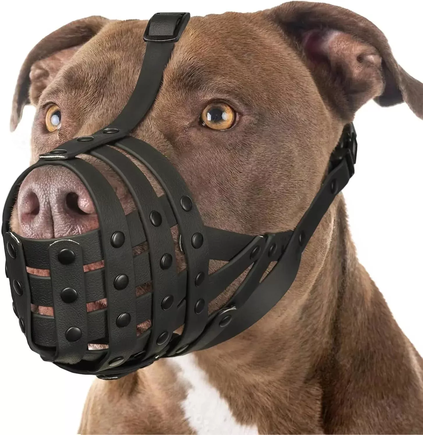 adjustable-basket-dog-muzzle-large-medium-dogs-lightweight-breathable Adjustable Basket Dog Muzzle for Large & Medium Dogs, Lightweight & Breathable
