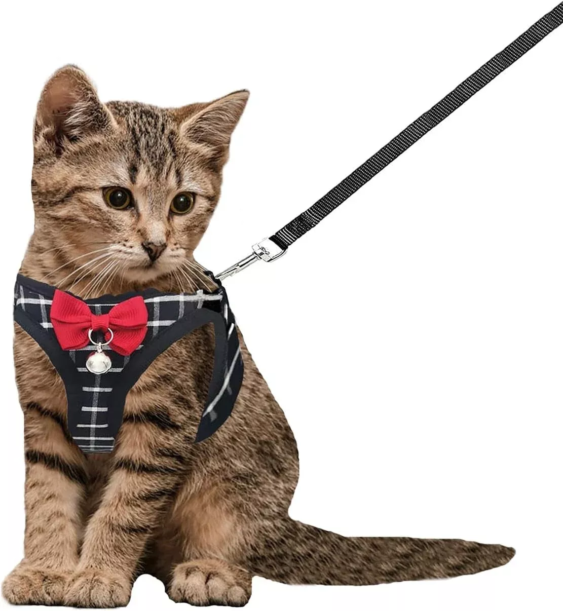 cat-harness-leash-set-breathable-adjustable-mesh-vest Cat Harness Leash Set Breathable Adjustable Mesh Vest