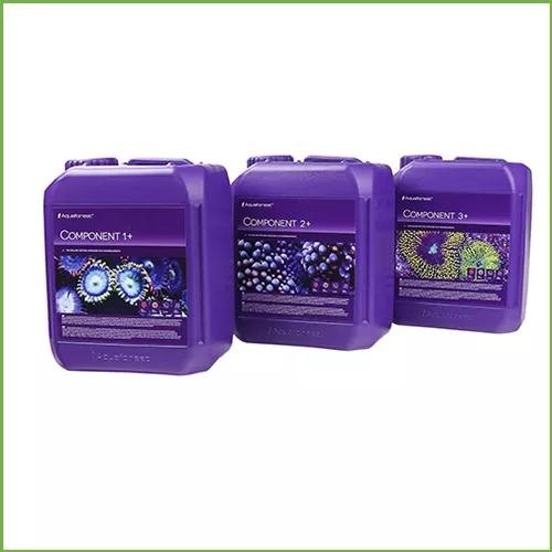 component-1-2-3 Component +1 +2 +3