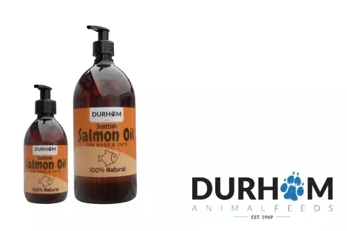 DAF - Salmon Oil 1ltr