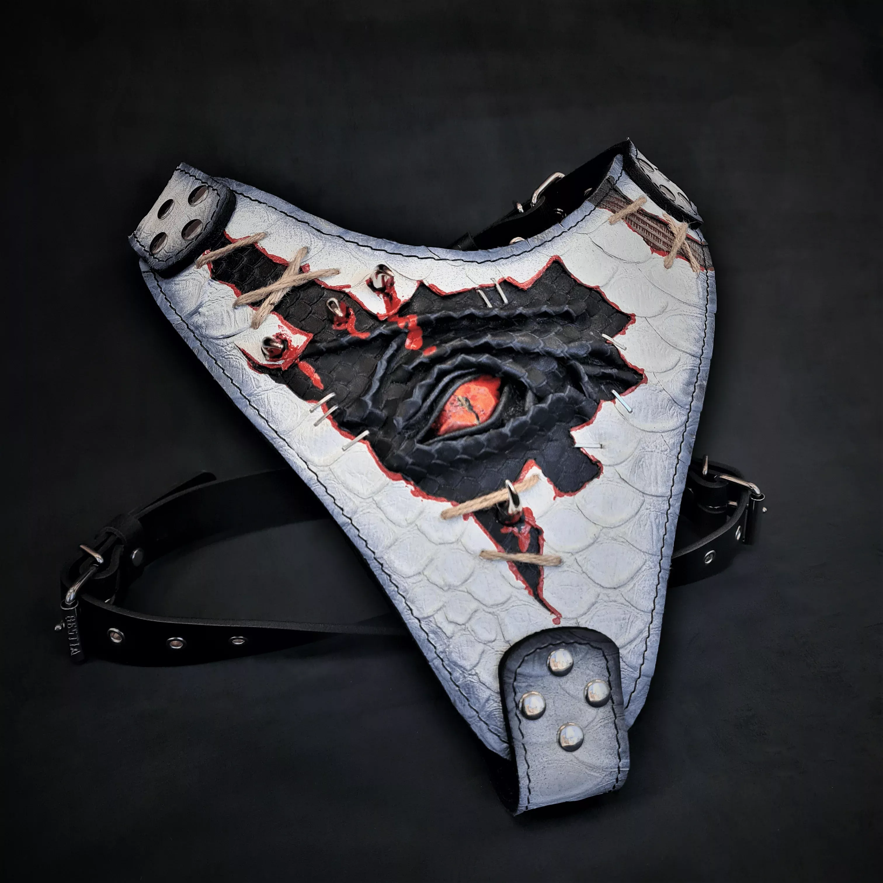 dragon-s-eye-harness-limited The Dragon’s Eye Harness LIMITED!