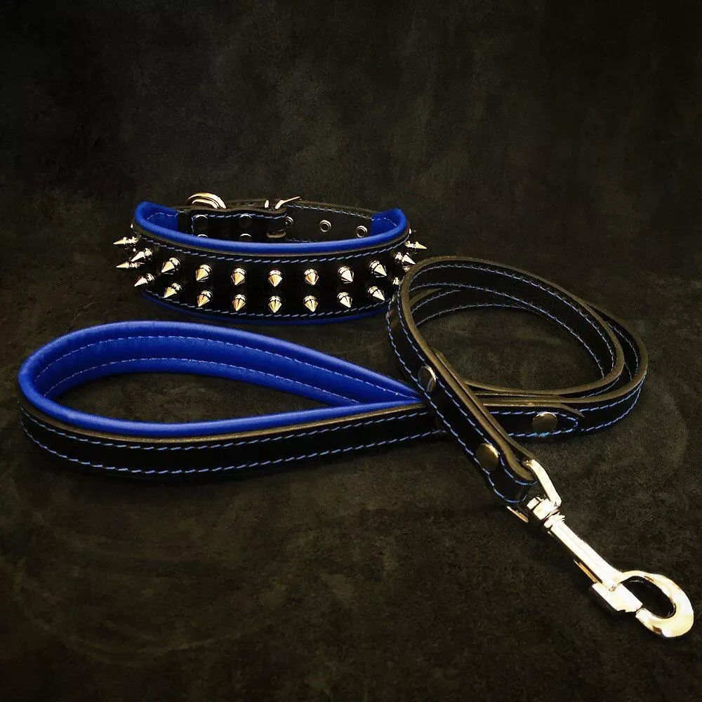 frenchie-set-collar-leash-blue “Frenchie” Set- collar & leash. Blue