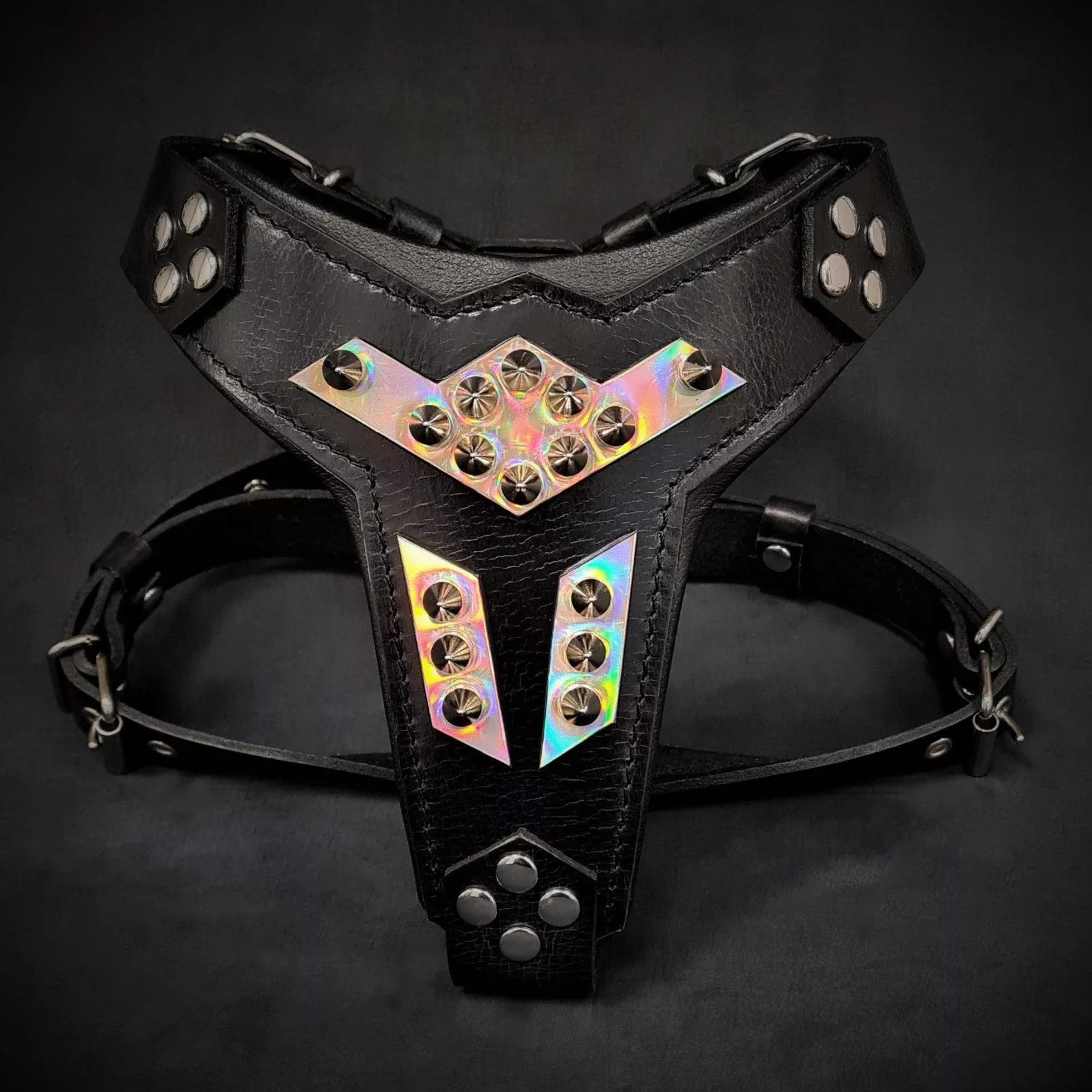 midas-leather-dog-harness-silver-medium-size ”Midas” leather dog harness silver medium size