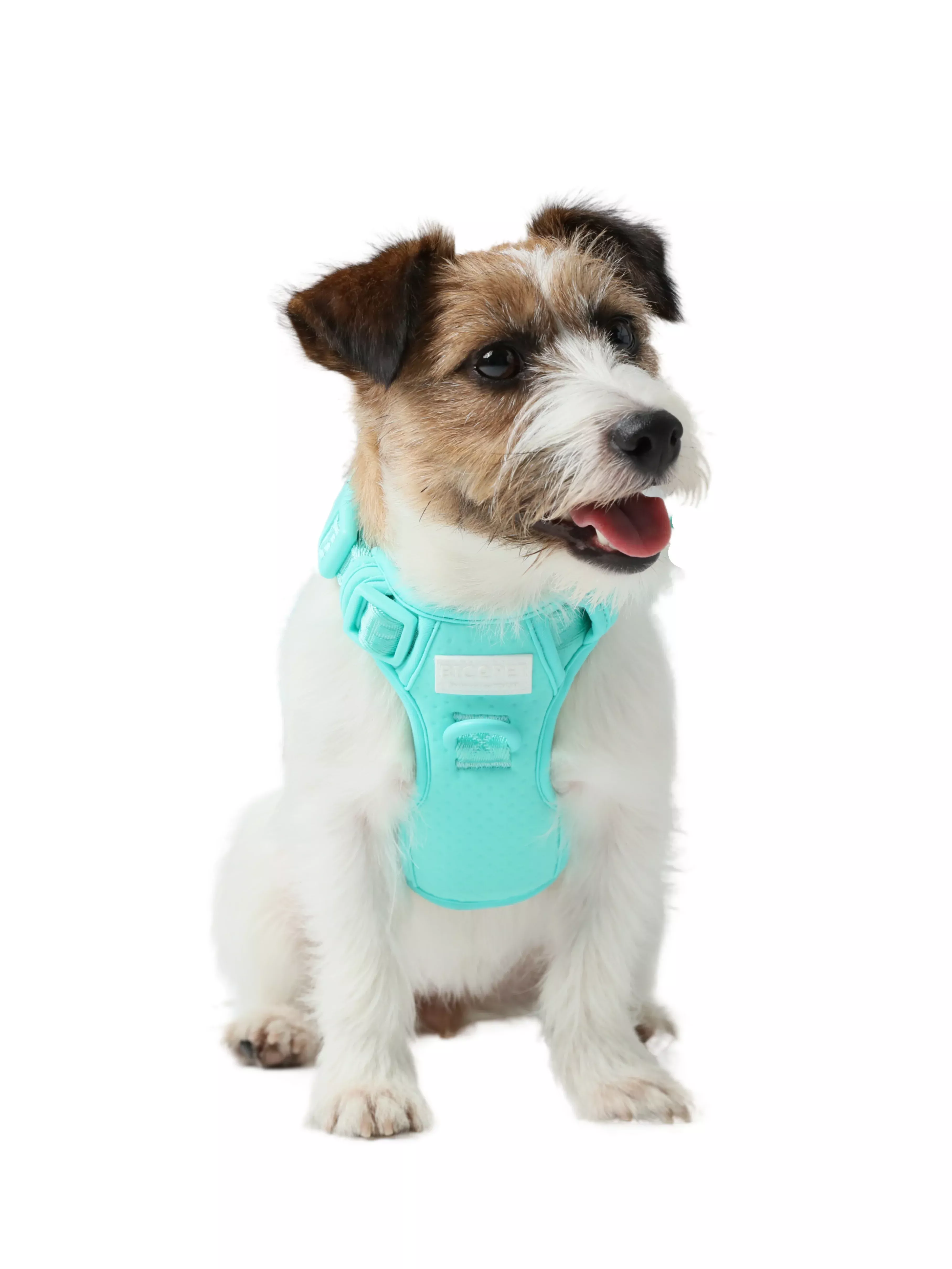 no-pull-activepet-harness-mint-green NO PULL ACTIVEPET HARNESS - MINT GREEN