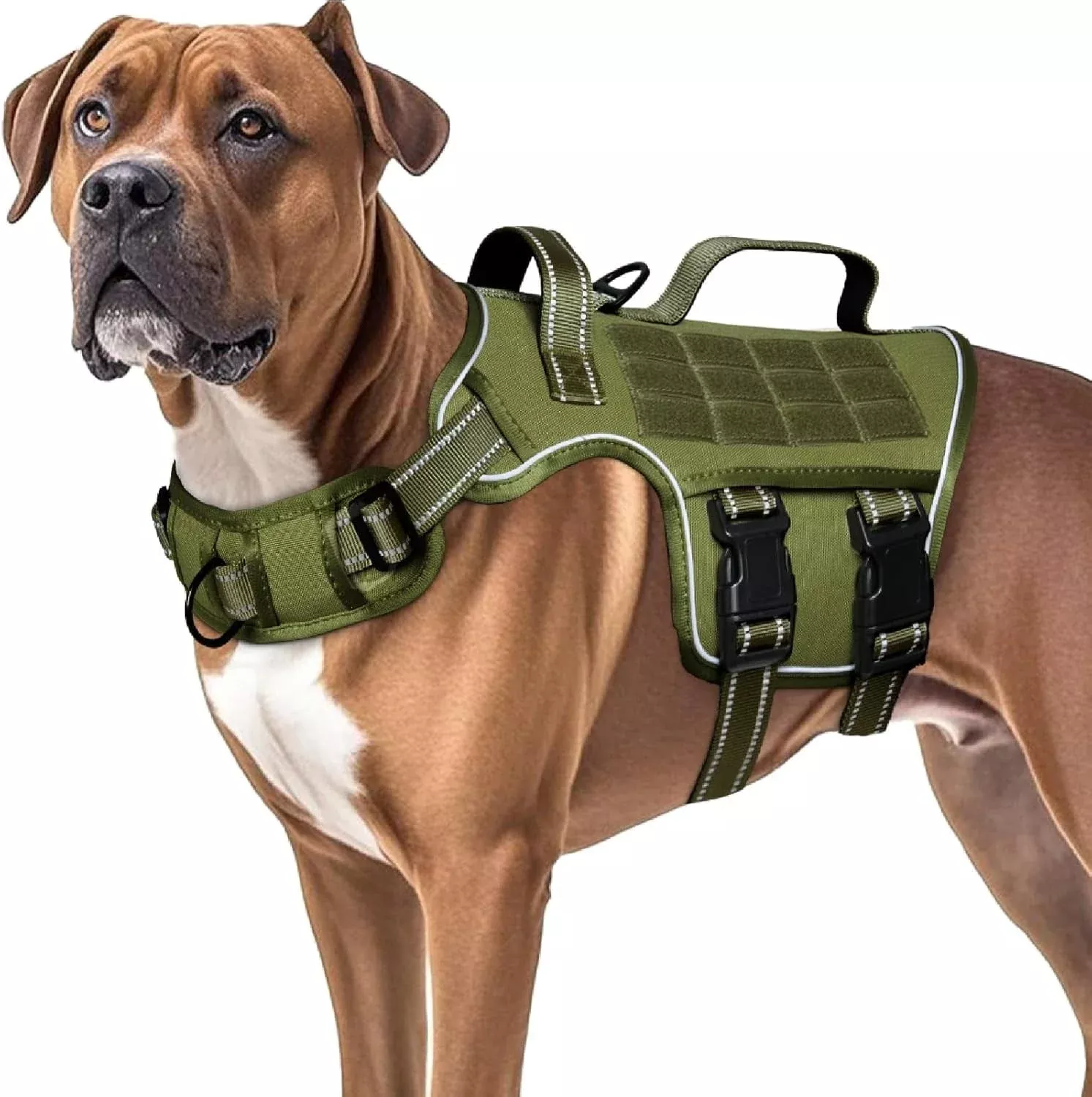 no-pull-tactical-dog-harness-heavy-duty-molle-vest-medium-to-xlarge-dogs No Pull Tactical Dog Harness Heavy Duty Molle Vest for Medium to XLarge Dogs